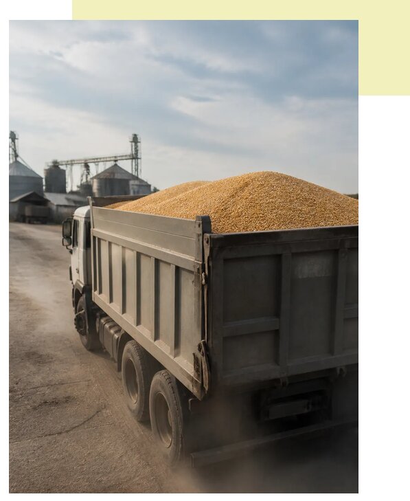 Перевозка сельхозпродукции навалом в Ейск по цене от 3092 р. | Агросервис-Еск
